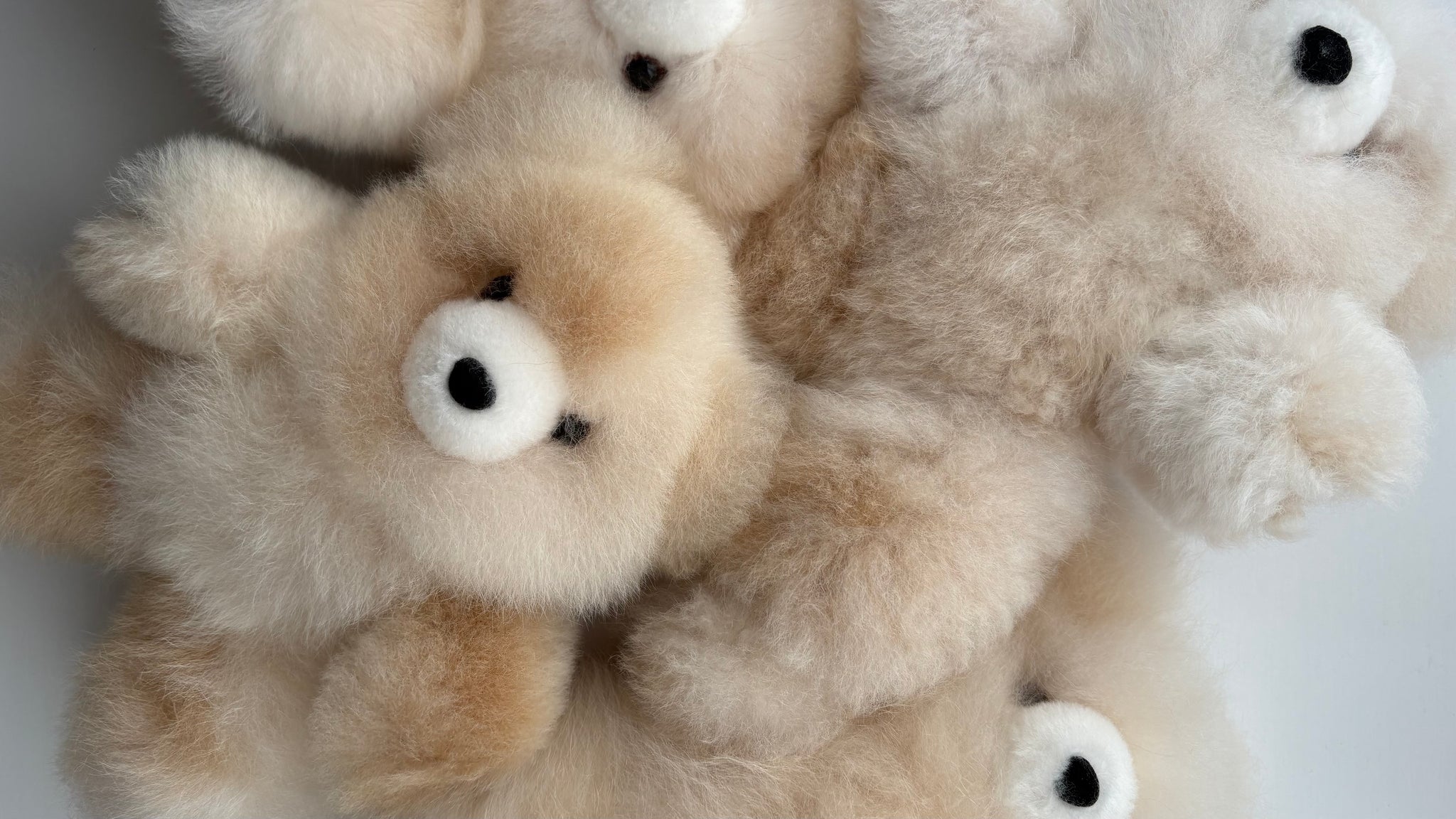 alpaca bear premium – R I K O T A