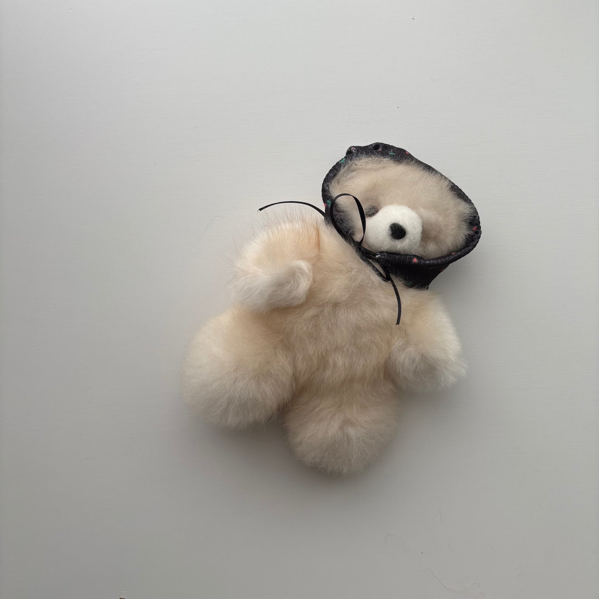 alpaca bear premium – R I K O T A