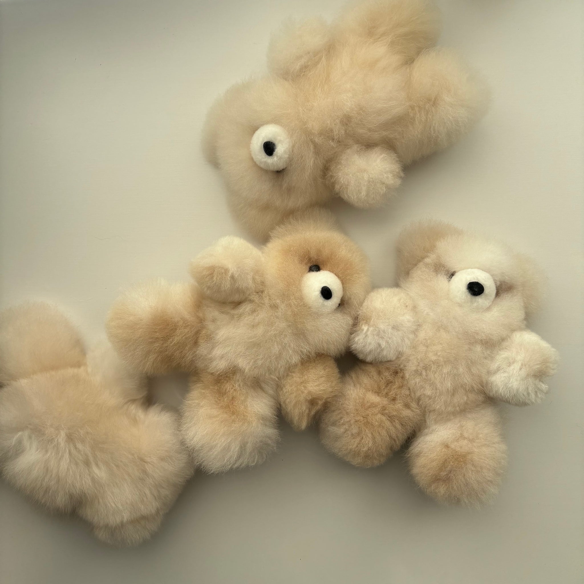 alpaca bear premium – R I K O T A